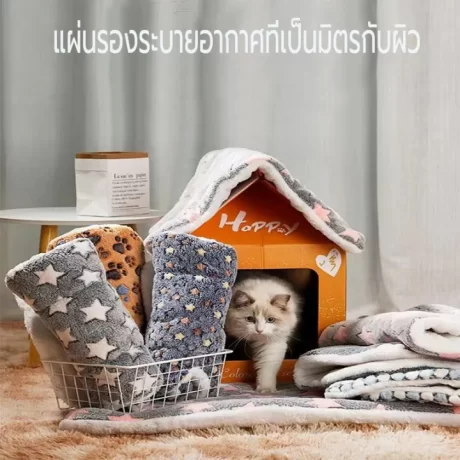 ????????????????? ???????????????????????? ?????????????????????????????????????????