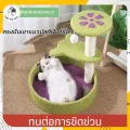 คอนโดแมว 2 ชั้น หุ้มผ้ากำมะหยี่อย่างดีฐานกว้างผ้านิ่ม ดีไซน์รูปทรงกลมและรูปหัวใจ สีเขียวม่วง ที่นอนแมว คอนโดกำมะหยี่