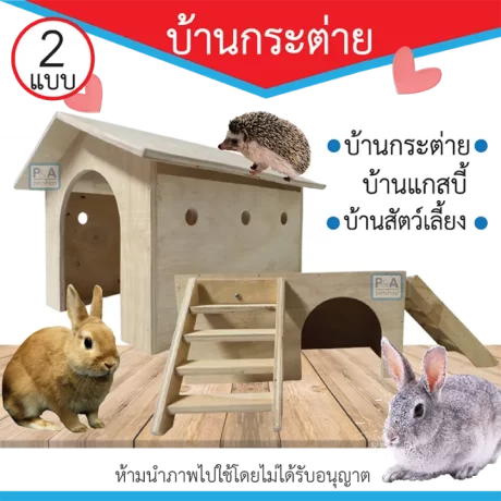 New!! ??????????? ??????? / ?????????????????? / ?? 2 ???????????