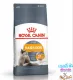 Royal Canin Hair & Skin Care