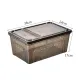 Reptile Box [XL] Small pet box Reptiles, small animals, live breeding For raising snakes, spiders, geckos, horn frogs.