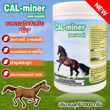 อาหารเสริมสำหรับม้า1000กรัมCAL MINERแคลเซียมและแร่ธาตุรวมจากธรรมชาติ100%เน้นความแข็งแรงเจริญอาหารกินเก่งช่วยดีท็อลำไส้สุขภาพดีอารมณ์ดี
