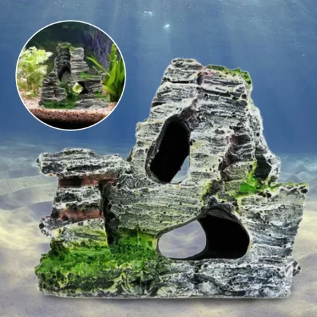 KPL ?????????????????? Rockery ????????? Rock ??????????????????????????????????????