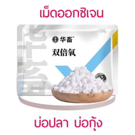 ?????????? ???????????? ??????????????????? ?????? ??????? ????????????????????? ??????????????????? ?????????????