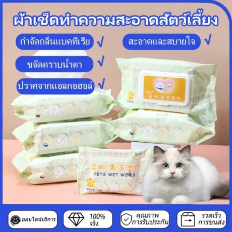 ?????????????????????? ???????????????????? ????????????????? ??????? ????? ????????