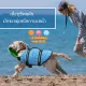 S-XL🐶ชุดว่ายน้ำสุนัข ชูชีพน้องหมา ไซส์ มีรีวิวให้ดู ชูชีพสุนัข เสื้อชูชีพสุนัข เสื้อชูชีพหมาใหญ่ เสื้อชูชีพสัตว์เลี้ยง