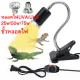 UVA/UVB 3.0 heat lamp 25w-75w used with ceramic lamp socket. For crawling animals, chameleons, turtles, rabbits, cacti.