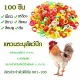 Chicken leg rings, 100 pieces, multi-colored, adjustable chicken leg bands, identification rings, chicken foot rings, cockfighting equipment