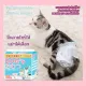 PetParadise.th ???????????????????????????????????? ??????? ??????? ??? ??? ??????????? Pet Disposable Female Diaper