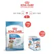 Royal Canin Medium Puppy โรยัล คานิน อาหารเม็ดลูกสุนัข พันธุ์กลาง อายุ 2-12 เดือน (4 กก.) + อาหารเปียกลูกสุนัข พันธุ์กลาง 140 ก. X 10 ซอง