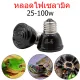 Ceramic light bulb heat light bulb Heat lamp for reptile pets, turtles, snakes, lizards, hedgehogs 25w 50w 75w 100w