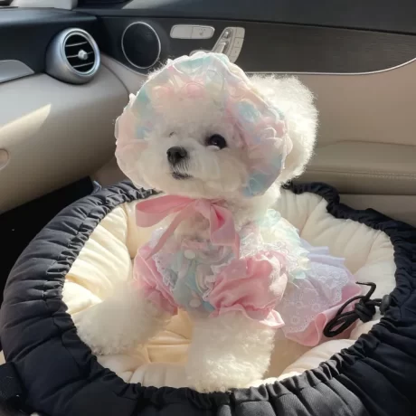 DY Loving Pet Korean Original Clothes Dog Princess Dress with Paved Handcraft Gauze Flower Gentle Poodle Ladylike Top Gentle Pomeranian Maid Cap