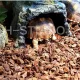 Stone Cave, hiding cave, resin work, for land turtles, geckos, geckos, chameleons, frogs, snakes, centipedes, decorating reptile tanks.