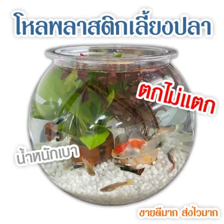 ??????????????? ?????????? ??????????? ?????? ?????? ??????? ???????? YG-205