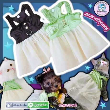 🇹🇭????????🇹🇭💥 ??????????????? ????????????? ????????? FOR PET ?????????? ?????? ??????