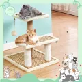 🌟Cat you can shop🌟🛒With wholesale📍Flat secret nail cat bed cat scratcher cat toy cat home cat flat cat price cheap pole secret nail cat at Scrabble nail
