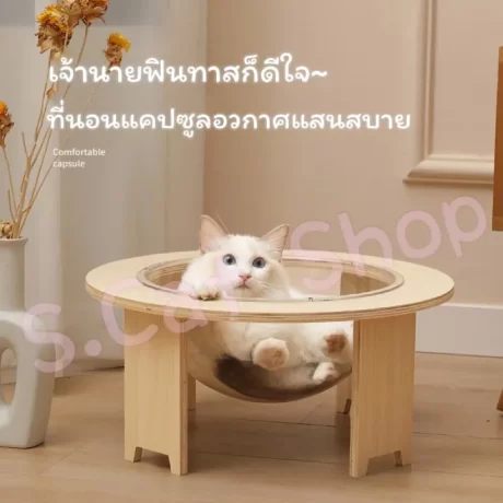 ???????? ???????????? ??????? ??????????????????????