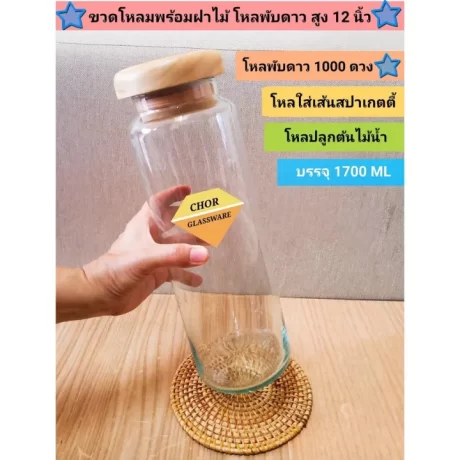 ??????????????????????????????? 1000 ???/ ?????????????12???? [????????]????????????????????????? /??????(1.7 ????)