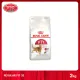 [MANOON] ROYAL CANIN Regular Fit 32 2kg.