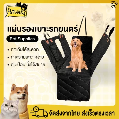 ??????????????????? ????????????????????? ???????????? ???????