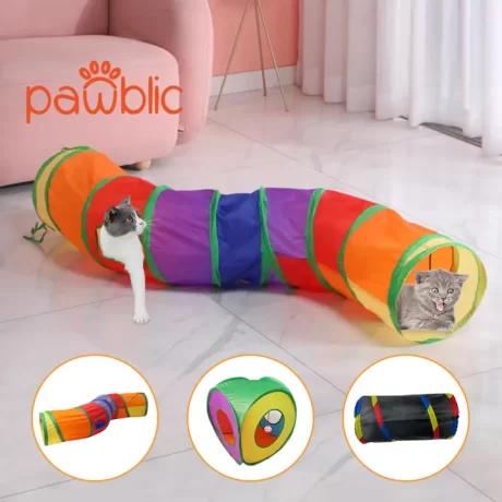 Pawblic🌈??????????????????🥑?????????? ?????????????????? ?????????????????????????????????????????