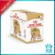 Royal canin POODLE wet อาหารเปียกสำหรับสุนัขพันธุ์พุดเดิ้ล 85gx12 ซอง (pouch