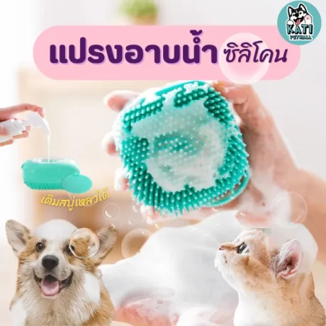 ?????????? ????????????? ??????????????? ?????????????????? ????????????????????? ?????????? ???????????