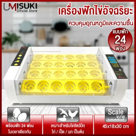 ????????????? ???????????? 24 ??? ????????? ???????? ????????????????? ?????? ?????????? ??????????