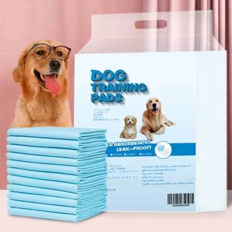 ??????????????? ?????? ?????????? ????????????? ????????????????????? ?????????????? ??????????? ????????????