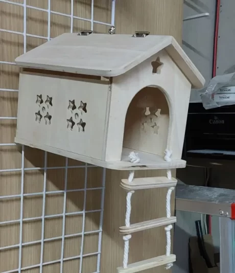 ??????? ??? ?????? ?? ???? 6 ????