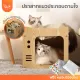 PawSociety ??????? ???????? ??? ?????? ????????? ????????????? ???????????????? ??????? ???????????????
