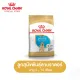 Royal Canin Labrador Retriever Puppy โรยัล คานิน อาหารเม็ดลูกสุนัข พันธุ์ลาบราดอร์ รีทรีฟเวอร์ อายุต่ำกว่า 15 เดือน (กดเลือกขนาดได้, Dry Dog Food)