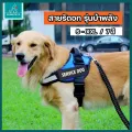 PrimePetto (ขายแยก) สายรัดอกสุนัข K9 พันธุ์เล็กพันธุ์ใหญ่ ปรับเข้าออกได้ ทนต่อแรงดึง สายรัดอกแมว มีแถบสะท้อนแสง สายรัดอกสัตว์เลี้ยงไซส์ S-XXL รุ่นแข็งแรงทนทาน