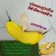 pet bed Banana hammock for small animals, birds, sugar gliders, squirrels, hedgehogs, marmosets.