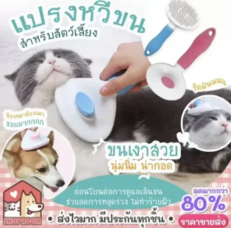 ?????? ???????? ?????????????? ???????????? ??????????? ????????? ????????????????????? ???????????????