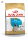 Royal Canin Pug Puppyโรยัล คานิน อาหารสุนัขปั๊กลูกสุนัข ขนาด 500g