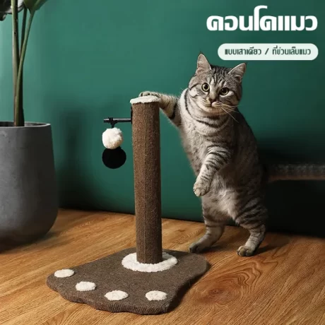 ???????? ?????????????? ???????? ????????????? ???????? ?????????? ??????????????? ???????? ??????????? / ??????????????