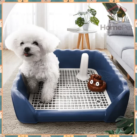 ???????????? ?????????????? ???????????????????? ?????????????? ??????????????????????? ???????????? ??????????? ????????????????? ???????????