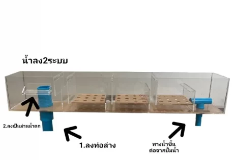 ?????????????????? ?????????????????? ??????????