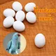 Fake bird eggs for parrots, fake eggs used to replace real eggs, pigeons, fins, fauna, budgies, lovebirds, cockatiels, green chickens, bag of 5.