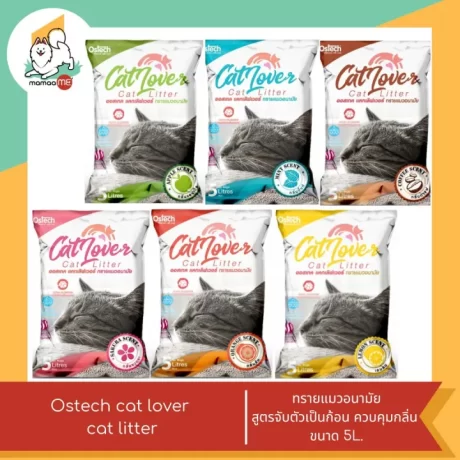 Ostech cat lover cat litter ????????????? ?????????????????? ?????????????? ???? 5 ????
