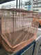 Mosquito net for pet cages, dogs, cats, free size model, size 67 x84 x85 cm.