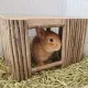 Rabbit House Teeth Grinding Natural Wood Branches Weaving Hut Chinchilla Nest Hamster Hideout Habitat Small Pet Supplies