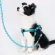 Dog leash, dog leash, thick hand loop, chest strap, dog leash with neck strap glow in the dark strong big dog small dog