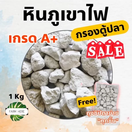 ?????????? ?????????????? ?????????? ????????????????A++ ????????????????? ????????????? ???????????? ??????????????? ?????