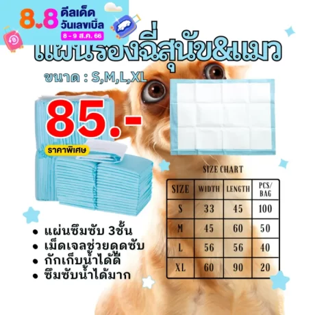 ????????????? ?????????????? ?????????????? ????????????? ?????????????? ?????????? ??????????? ???????? ??????????????