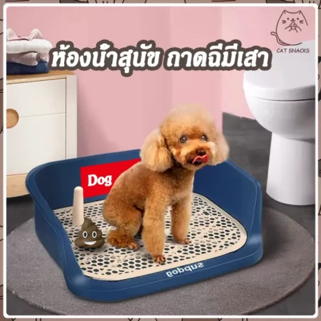 ???????????? ?????????????? ???????????????????? ?????????????? ??????????????????????? ???????????? ??????????? ????????????????? ??????????? Dog Training Trays