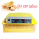Guaranteed 56 egg incubator, egg incubator, incubator, automatic egg incubator, chicken egg incubator, automatic egg incubator, chicken, duck eggs