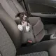 Loviver Safety Dog Car Seat Booster Washable Pet Carrier for Cat Small Animal