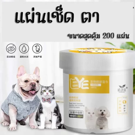 (200????)???????? ??????????????? ?????? ??????????? ??????????? ?????????????????? ??????????? ?????????? ????? ???????